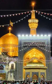 رفسنجان ب مشهد