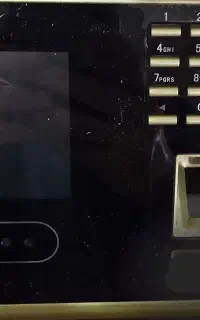 استخدام نیروی کار آقا و خانم