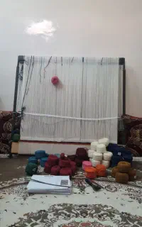 دارقالی سالم