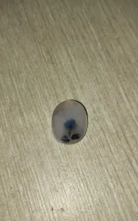 سنگ شجر تک گل