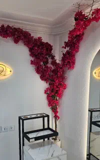 اجاره لاین زیبایی