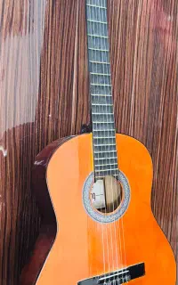 گیتار کینگ