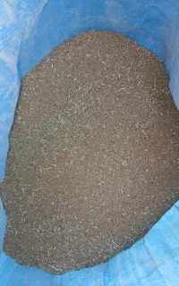 بذر یونجه