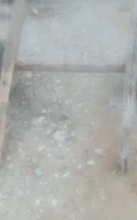 شاسی