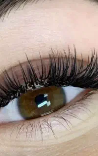 مدل مژه