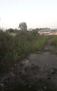 استخدام کارگر سرایدار استخرماهی درفومن و چوبر تالش