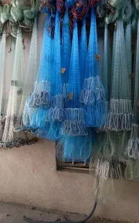تور ماهیگیری درجه یک