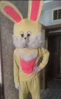 اجاره عروسک تن  پوش خرگوش زرد