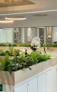 پتوس گل سنگ طرحِ متفاوت فلاورباکس پارکینگ