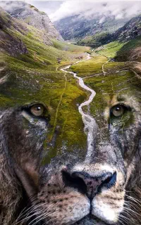 آموزش فتوشاپ بازار کار