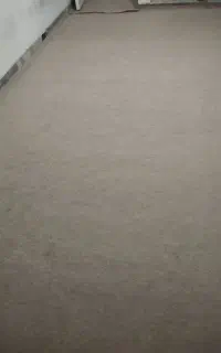 موکت کرمی رنگ نو نو 25 متر