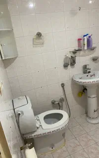 سرویس ایرانی و فرنگی و ۲عدد روشویی