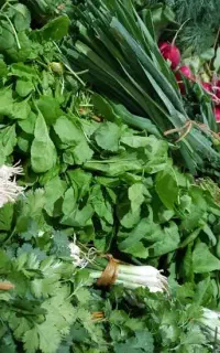 سبزی تازه و ارزان به قیمت عمده فقط 105 تومان