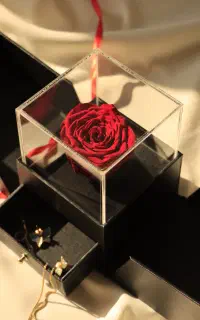 باکس گل جاودان موزیکال رویال