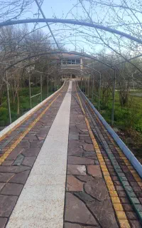 سنگ کاری(سنگ کوهی ورقه ای .کوبیک .سنگ لاشه گرانیت)