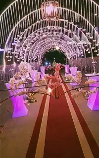 تشریفات عروسی . کیفیت و قدرت در اجرا