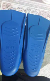 فین شنا میسیسیپی