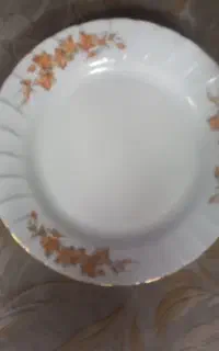 بشقاب برگ گل پاییزی   ۱۰۰   همه چیز داریم بیا تو