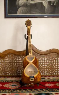 تار الکترونیک،تارالکتریک،تار الکترو آگوستیک