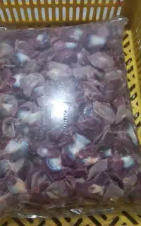 سنگدان تازه