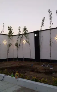 برقکاری ساختمان درکرج