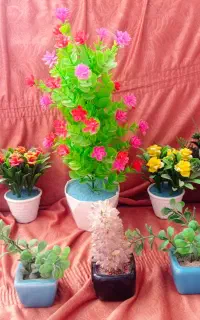 تعدادی گل زیبا