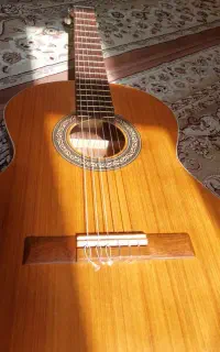 گیتار پارسی m5