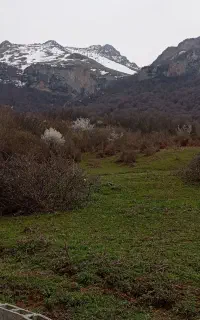 تور جنگل پیته نو