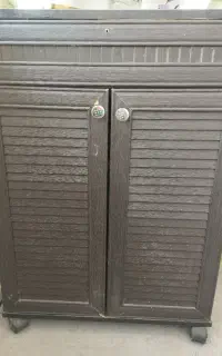 جاکفشی