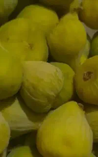 با سلام باغ دارم در خدمت مردم عزیزم