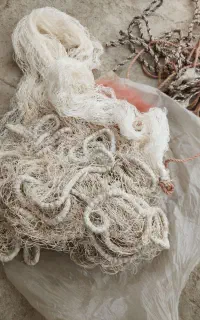 طورماهی 15متر چتری