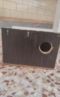 لانه پرنده