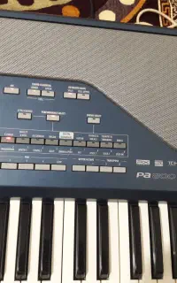 pa800