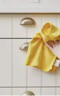 یک خانم برای امور منزل