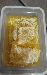 عسل کاملا طبیعی شانه دار