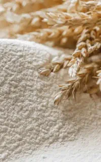 فروش ارد چهار کیسه