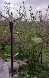 رخت آویز ایستاده