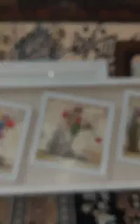 قاب