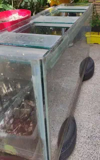 آکواریوم