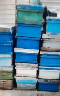 جعبه کندوی عسل