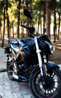 موتور دایچی 250 ZR