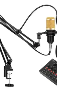 میکروفون استودیویی BM800