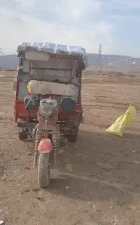 موتور سه چرخ بهبار فروشی