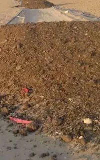 کود مرغی خالص