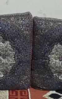 دوعدد پشتی