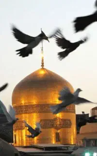 تور مشهد