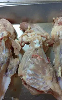 استخوان گردن و سینه مرغ روز