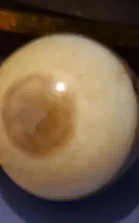 سلام عرض ادب یک عدد مهره