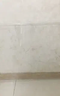طلق محافظ تلوزیون۵۵
