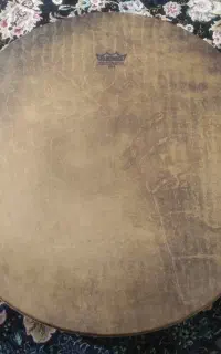دف نو